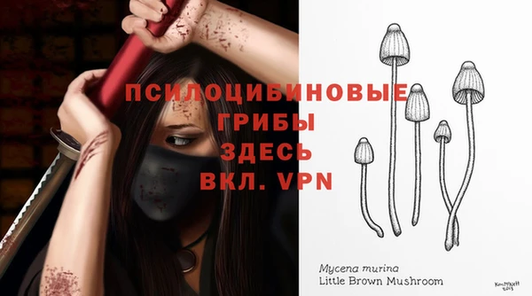 кристаллы Богородицк