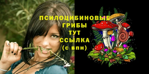 гашиш Богородск