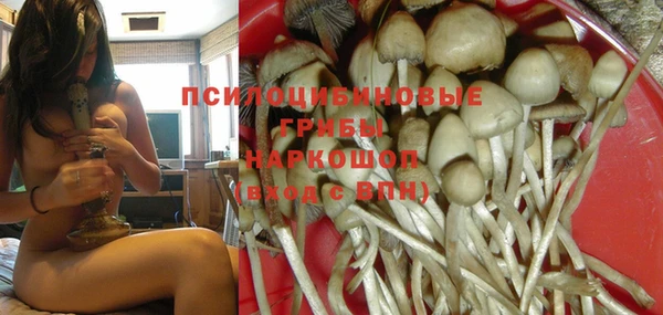 прущие крисы Богданович
