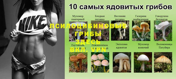 кристаллы Богородицк