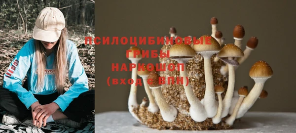 кристаллы Богородицк