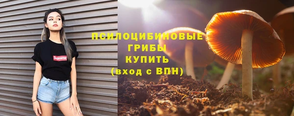 гашиш Богородск