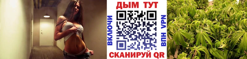 где найти наркотики  KRAKEN ССЫЛКА  Марихуана AK-47  Златоуст 